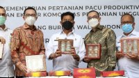 Pacu Ekspor Sarang Burung Walet, SYL Kunjungi Rumah Prosesing di Jawa Timur