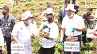 Menko Luhut Puas Progres Pengembangan Food Estate di Kabupaten Humbahas