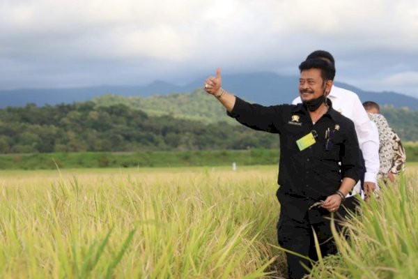 Mentan SYL Dorong Kabupaten Barru Jadi Sentra Beras Nasional