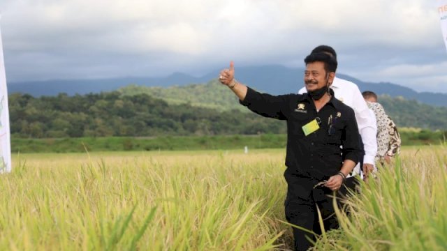 Mentan SYL Dorong Kabupaten Barru Jadi Sentra Beras Nasional