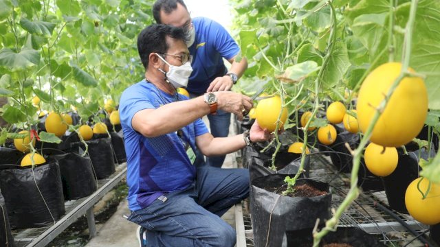 Mentan SYL dan Menkop UKM Gandeng IPB Wujudkan Korporatisasi Sektor Pertanian