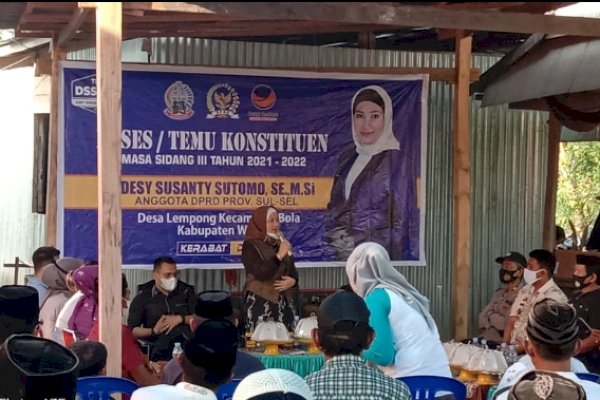 6 Desa di Wajo Terancam Tenggelam, Warga Minta Legislator NasDem Desy Susanty Beri Solusi