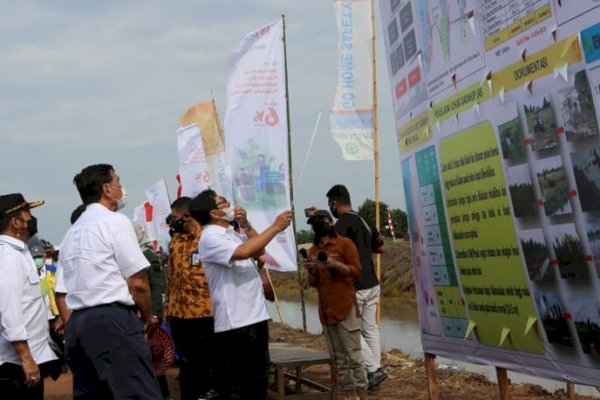 Kementan Maksimalkan Lahan di Dadahup Dukung Food Estate