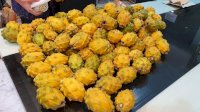 Varietas Baru Buah Naga Warna Kuning, Ini Pejelasannya