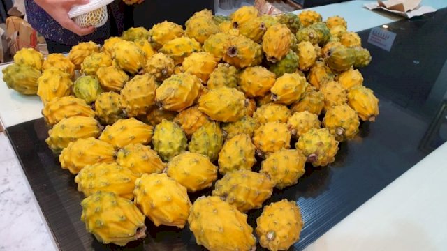 Varietas Baru Buah Naga Warna Kuning, Ini Pejelasannya