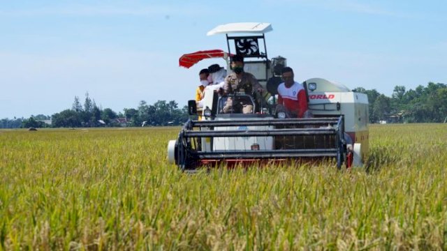 Inilah 10 Provinsi Tingkat Produksi Beras Terbanyak