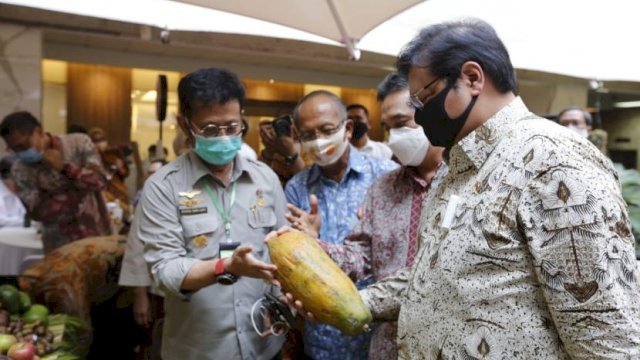 Menteri Pertanian Syahrul Yasin Limpo (SYL) dan Menteri Koordinator Perekonomian, Airlangga Hartarto.