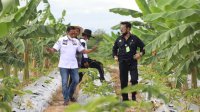 BPS Rilis Angka Kesejahteraan Petani, NTP 27 Provinsi Meningkat