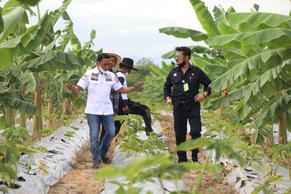 BPS Rilis Angka Kesejahteraan Petani, NTP 27 Provinsi Meningkat