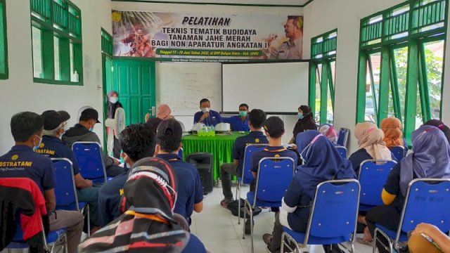 Distan Kabupaten Luwu Beri Pelatihan Warga Menanam Jahe