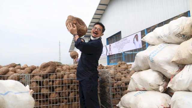 Porang Indonesia Penuhi 20 Persen Lebih Kebutuhan Dunia, Teknologi Pangan Harus Dikembangkan