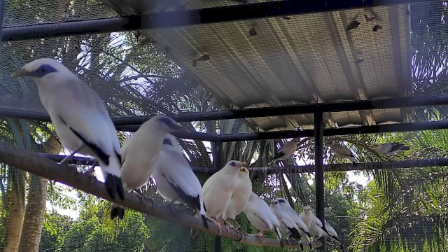 Dukung Kementan, Zaenal Tayeb Kembangkan Ekosistem Habitat Flora dan Fauna