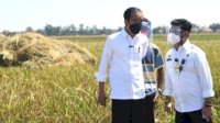 Jokowi Cek Gudang Beras, Mentan Syahrul: Sesuai Perintah Presiden Kondisi Beras Kita Aman