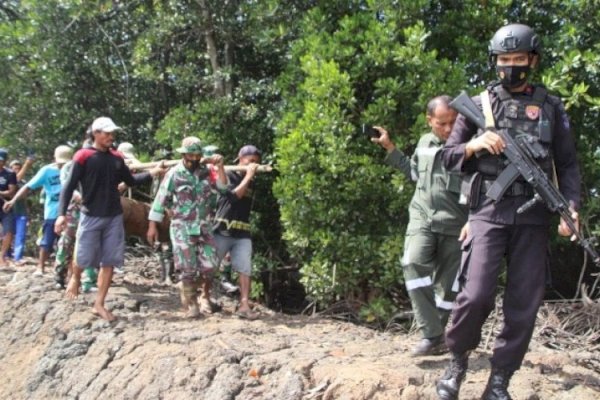 WOOW! Diduga Bom Pesawat Sisa Perang Dunia II Ditemukan di Bone Sulsel 