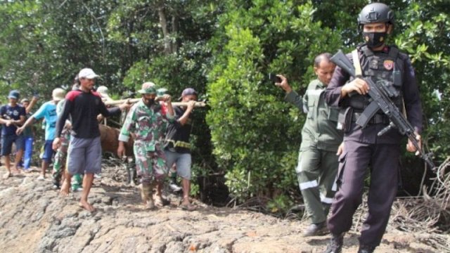 WOOW! Diduga Bom Pesawat Sisa Perang Dunia II Ditemukan di Bone Sulsel 