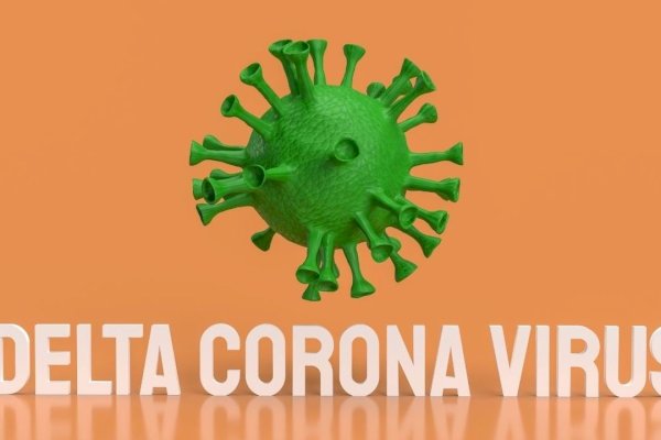Benarkah Virus Covid-19 Varian Delta Menular Hanya dengan Berpapasan?