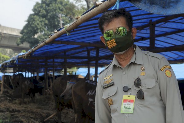 BPS: Ekspor Pertanian Pada Juni 2021 Naik Sebesar 33,04 Persen