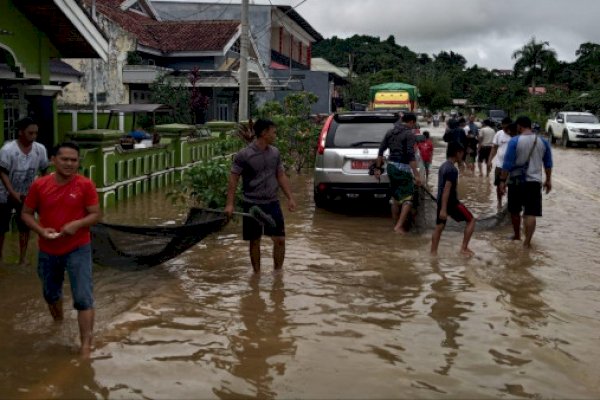 Banjir Rendam Pemukiman dan Lahan Pertanian di Karossa Sulbar