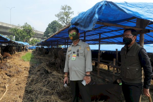 Saat Mentan SYL Bersama Walikota Bogor Pantau Ketersediaan Hewan Kurban