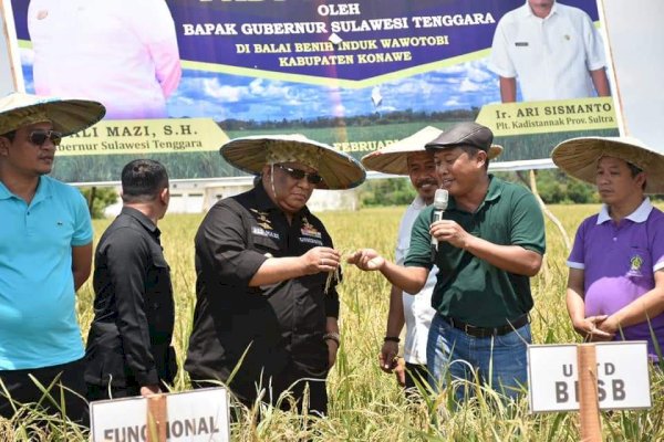 Begini Langkah Antisipatif Stabilitas Pangan di Kota Kendari