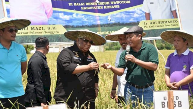 Begini Langkah Antisipatif Stabilitas Pangan di Kota Kendari