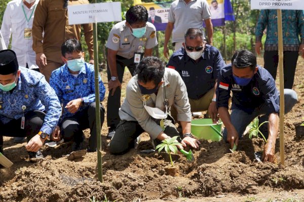 Wakil Ketua DPRD Sulsel Syahruddin Apresiasi Pengembangan Porang dan Walet Kementan