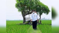 Petani Sumringah disapa Mentan saat Istirahat Dipinggir Sawah