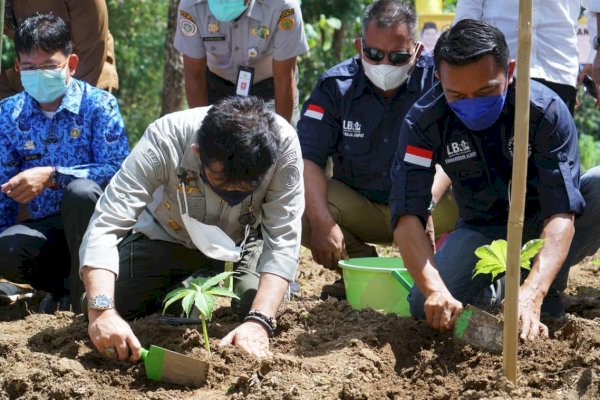 Bareng Ketum PEPKI Syaharuddin Alrif di Pangkep, Mentan Syahrul Dorong Bisnis Porang sampai Pascapanen dan Industri