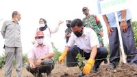 Pemkab Bantaeng Dorong Petani Beralih ke Pupuk Organik