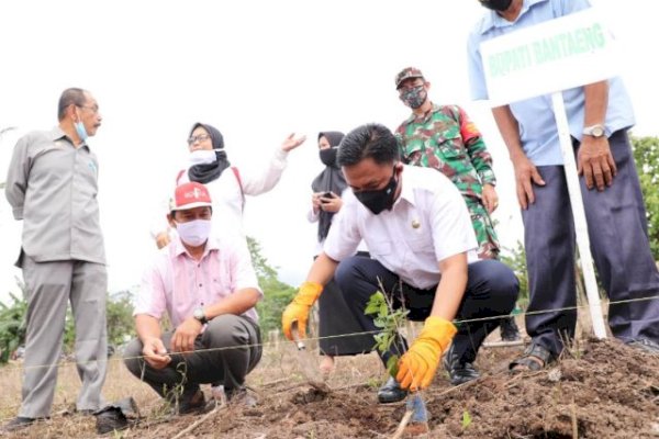 Pemkab Bantaeng Dorong Petani Beralih ke Pupuk Organik