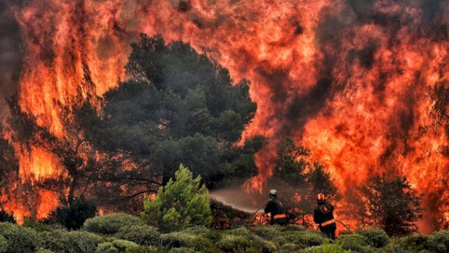 Kebakaran Hutan di Yunani.