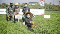 Mentan Dorong Tani Foundation Tingkatkan Kesejahteraan Petani