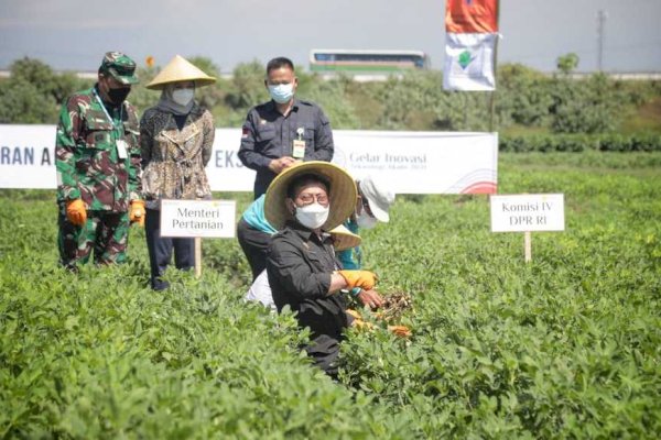 Mentan Dorong Tani Foundation Tingkatkan Kesejahteraan Petani