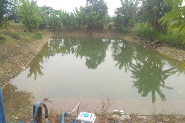 Keberadaan Embung Sukses Tingkatkan Indeks Pertanaman Petani Lamongan