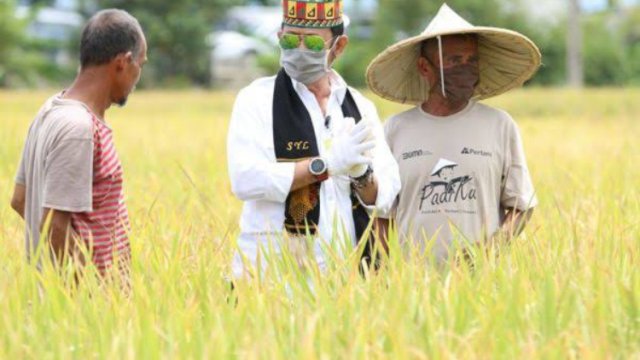 Kementan Sarankan Petani Jember Manfaatkan AUTP Antisipasi Gagal Panen