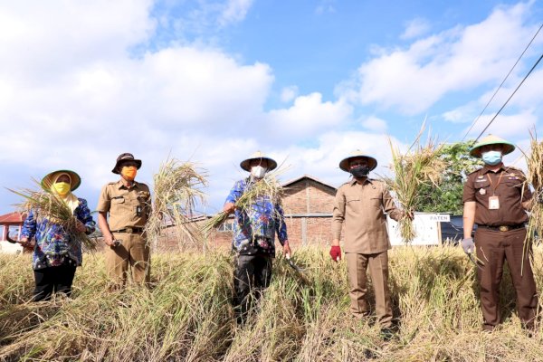 KTNA Sulsel Apresiasi Perhatian Ilham Azikin Terhadap Petani Bantaeng
