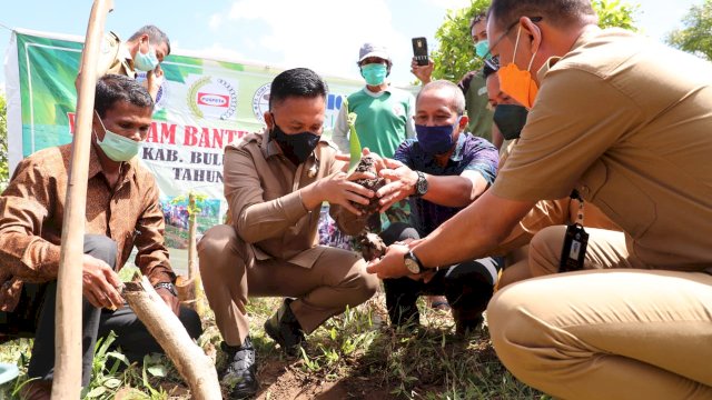 Pemkab Bantaeng Dorong Gantarangkeke Jadi Sentra Produksi Vanili