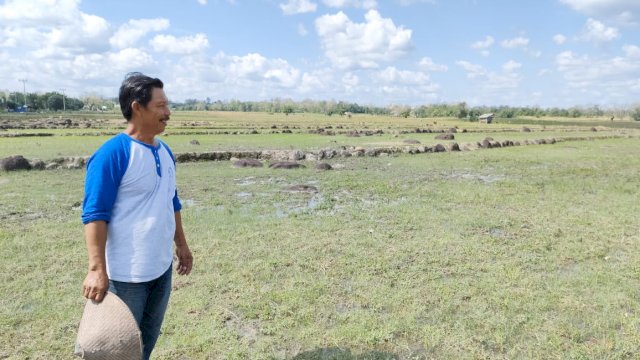 Asuransi Pertanian Lindungi Petani Desa Nipa-nipa dari Kerugian Akibat Kemarau 