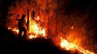 Waspada! Sembilan Hektare lahan Hutan Gunung Andong Hangus Terbakar