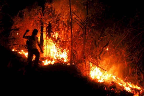 Waspada! Sembilan Hektare lahan Hutan Gunung Andong Hangus Terbakar