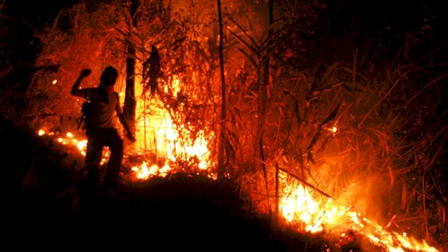 Waspada! Sembilan Hektare lahan Hutan Gunung Andong Hangus Terbakar