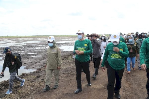 Food Estate Kalteng Akan Jadi Kiblat Lumbung Pangan Nasional