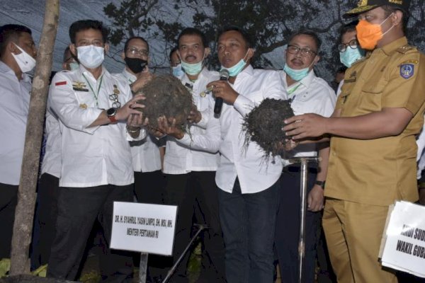 Petani: Meski Dinamika Harga, Porang Saat Ini Menguntungkan