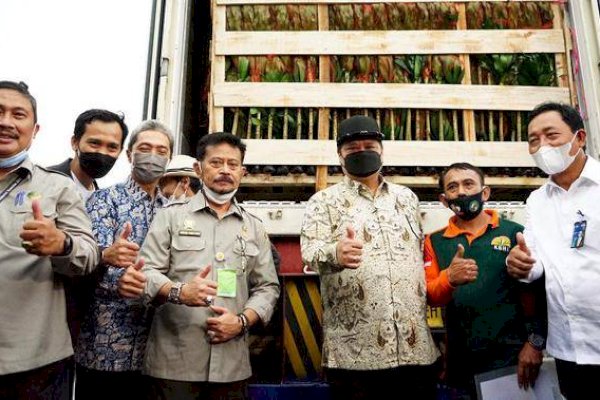 Bantu Rumah Tangga Miskin, Mentan Bersama Menko Perekonomian Salurkan 20 Ribu Ayam Petelur