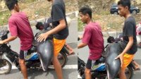 Viral Lumba-lumba Diangkut Motor, Harusnya Kembalikan ke Laut Malah Dibawa ke Pasar