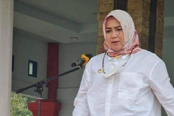 OTT KPK, Ini Fakta-fakta Bupati Kolaka Timur: Berdarah Bugis Soppeng dan Jadi Bupati Perempuan Pertama di Sultra