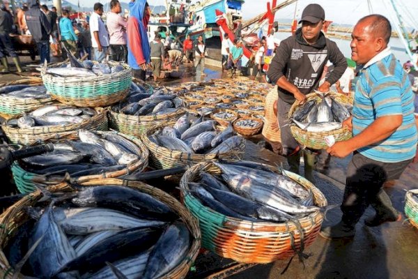 Siap-siap, Penangkapan Ikan di Laut Akan Dibatasi lewat Sistem Kuota, Berlaku 2022