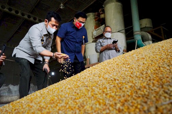 Tepis Isu Jagung Langka, Mentan Syahrul Langsung Cek Stok Jagung Pabrik Pakan, Hasilnya Tak Ada Masalah dan Normal