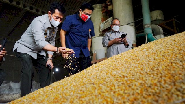 Tepis Isu Jagung Langka, Mentan Syahrul Langsung Cek Stok Jagung Pabrik Pakan, Hasilnya Tak Ada Masalah dan Normal