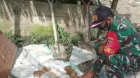 Gali Lubang di Belakang Rumah, Warga di Lutra Sulsel Kaget Malah Temukan Granat dan Beberapa Butir Peluru 